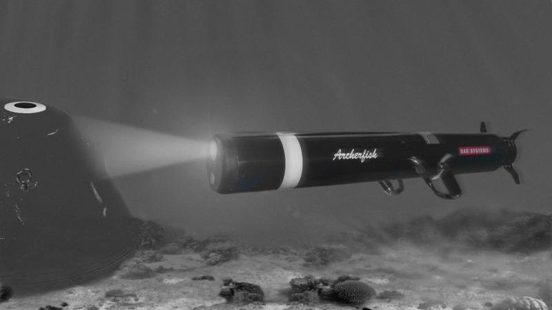نظام Archerfish لشل وتدمير الألغام. الصورة: BAE Systems