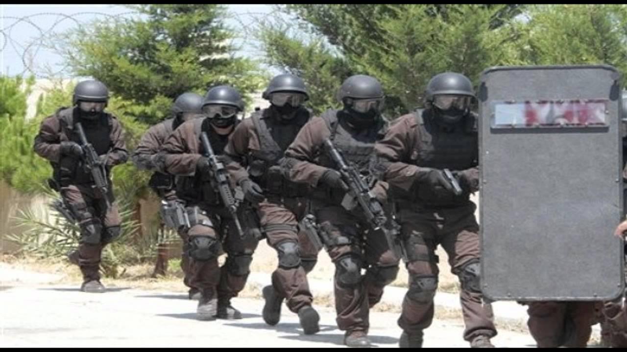 الفهود السود