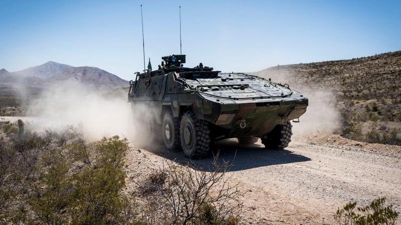 Boxer Copyright Netherlands Ministry of Defence